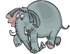 elefante inciampa.gif